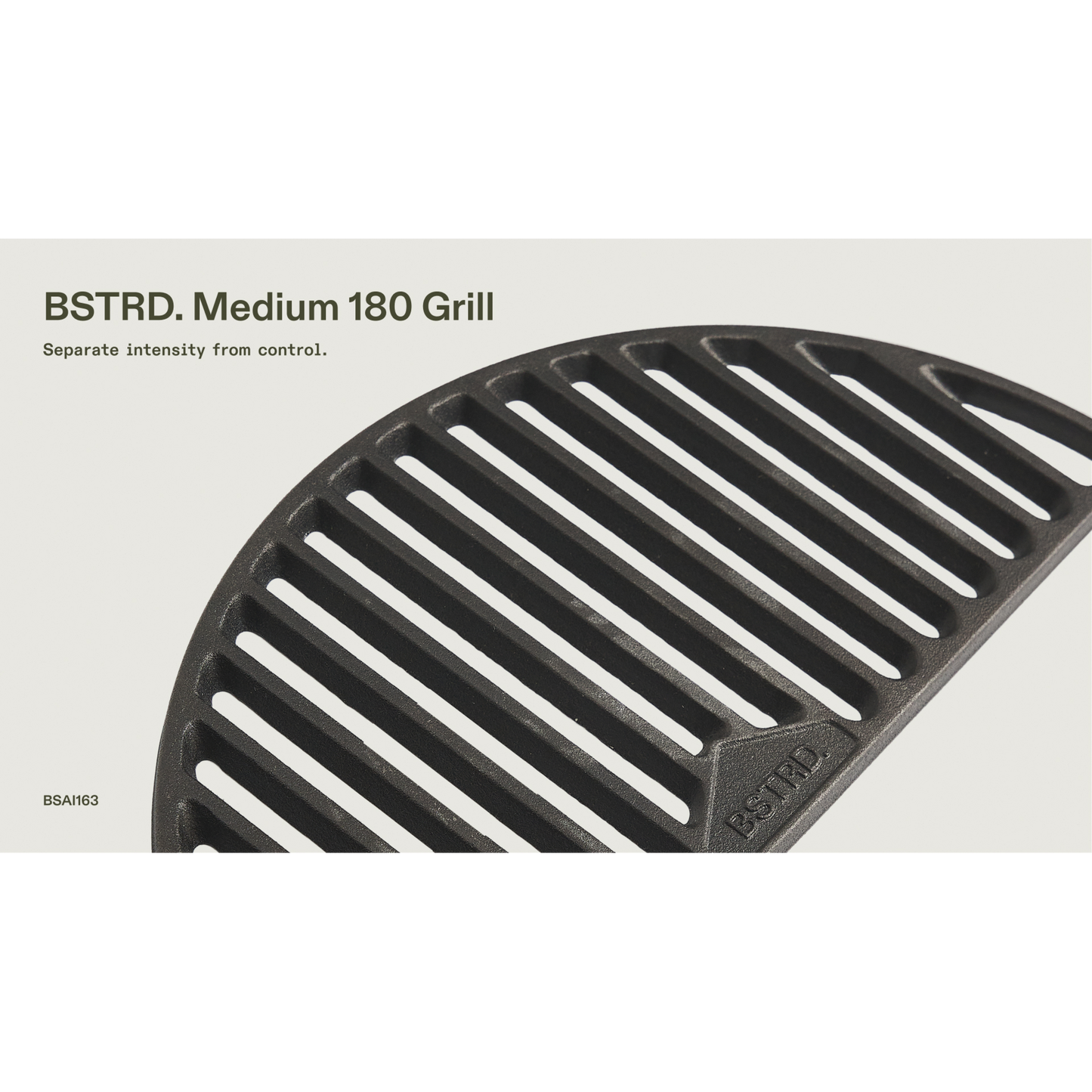 bsai163_17