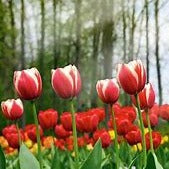 Workshop - Basic Lente Experience